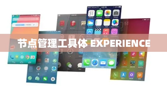 节点管理工具体 EXPERIENCE