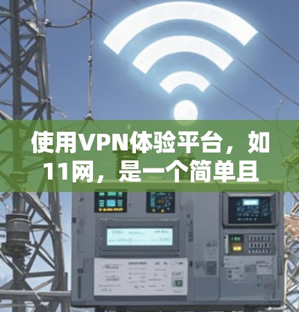 使用VPN体验平台，如11网，是一个简单且安全的策略。以下是一个清晰的步骤指南
