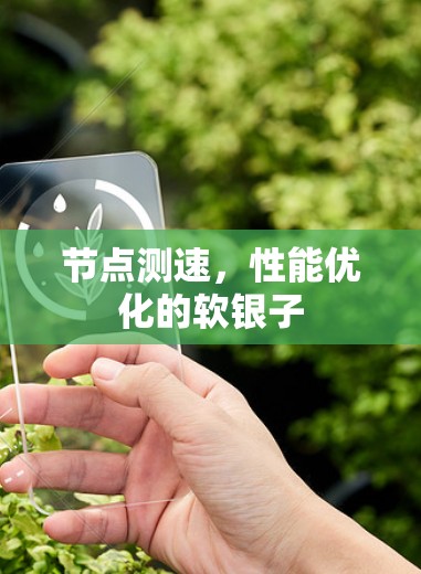 节点测速，性能优化的软银子