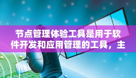 节点管理体验工具是用于软件开发和应用管理的工具，主要分为代码管理、日志管理、活动管理和监控四个主要部分。以下是对这些工具的详细介绍