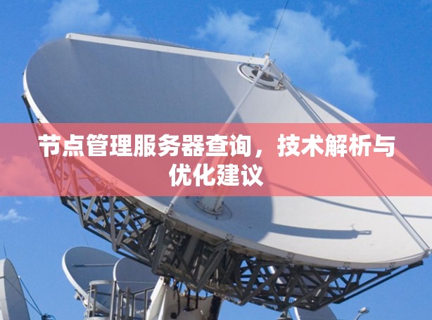 节点管理服务器查询，技术解析与优化建议