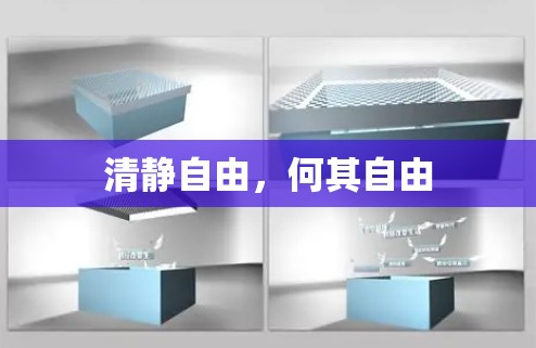清静自由，何其自由