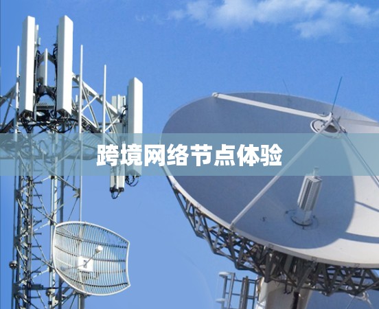 跨境网络节点体验
