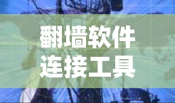翻墙软件连接工具，重塑网络连接的新范式