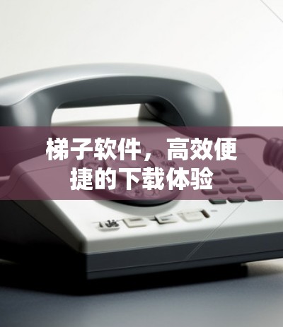 梯子软件，高效便捷的下载体验