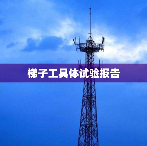 梯子工具体试验报告
