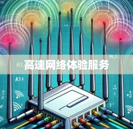 高速网络体验服务