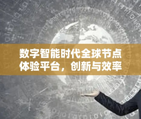 数字智能时代全球节点体验平台，创新与效率的完美结合