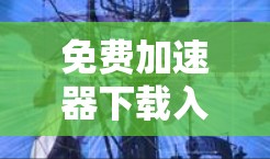 免费加速器下载入口推荐