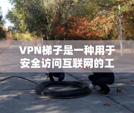 VPN梯子是一种用于安全访问互联网的工具，通常由多个VPN服务器组成，允许用户访问不同的网站，同时提供限制以防止网络攻击和病毒传播。以下是使用VPN梯子的步骤和注意事项