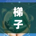 梯子软件服务器检测是一个全面的监控和安全管理的过程，涉及多个模块和工具的使用。以下是一个有条理的步骤指南，帮助您进行梯子软件服务器的检测