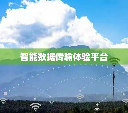 智能数据传输体验平台