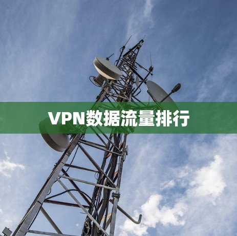 VPN数据流量排行