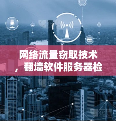 网络流量窃取技术，翻墙软件服务器检测方法