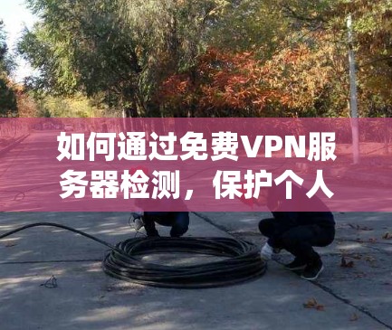 如何通过免费VPN服务器检测，保护个人数据安全？