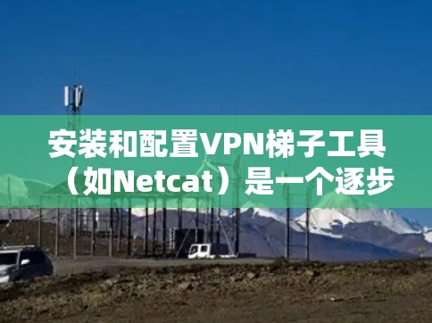 安装和配置VPN梯子工具（如Netcat）是一个逐步的过程，以下是一些详细的步骤指南