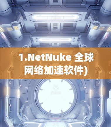1.NetNuke 全球网络加速软件)