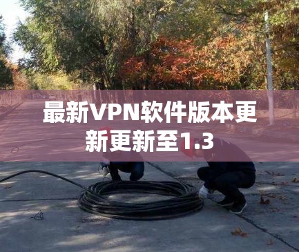 最新VPN软件版本更新更新至1.3