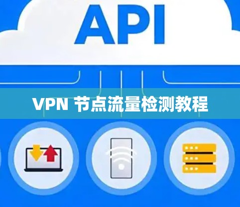 VPN 节点流量检测教程