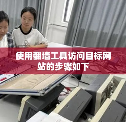 使用翻墙工具访问目标网站的步骤如下