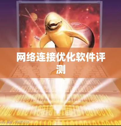 网络连接优化软件评测