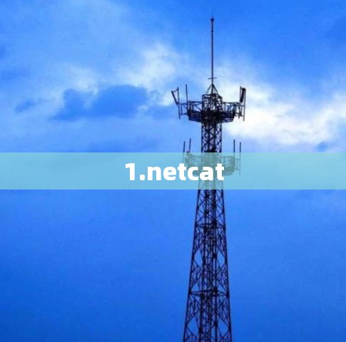 1.netcat