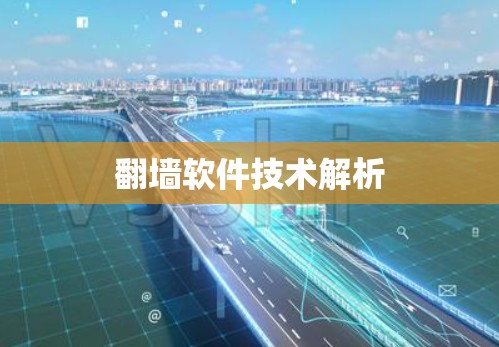 翻墙软件技术解析