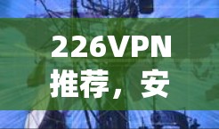 226VPN推荐,安全可靠,轻松连接 226VPN推荐,安全可靠,轻松连接