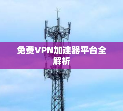 免费VPN加速器平台全解析 免费VPN加速器平台全解析
