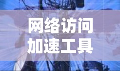 网络访问加速工具，提升网络效率的高效解决方案