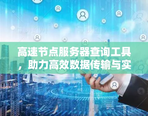 高速节点服务器查询工具，助力高效数据传输与实时监控