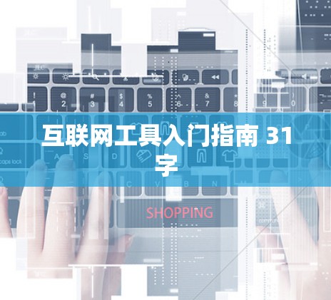 互联网工具入门指南 31字
