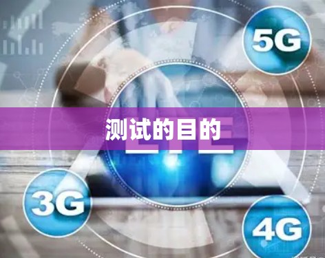 测试的目的