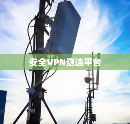 安全VPN测速平台 安全VPN测速平台