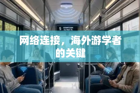 网络连接，海外游学者的关键