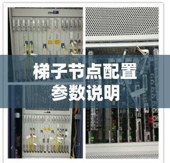 梯子节点配置参数说明