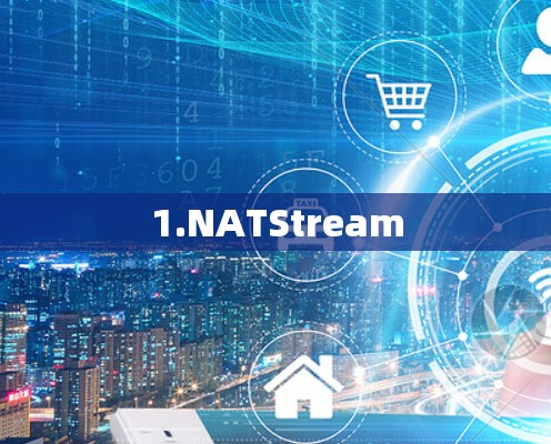 1.NATStream 1.NATStream