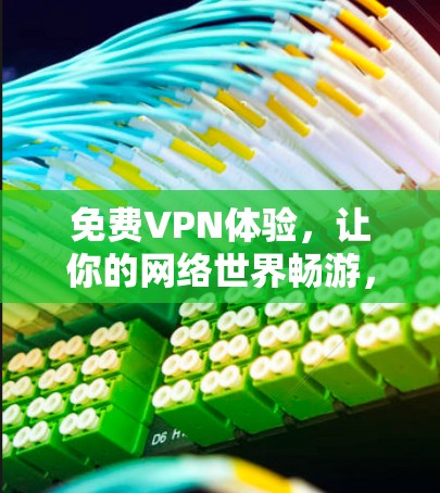 免费VPN体验,让你的网络世界畅游,远离网络犯罪,释放自由与安全 免费VPN体验,让你的网络世界畅游,远离网络犯罪,释放自由与安全