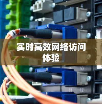 实时高效网络访问体验