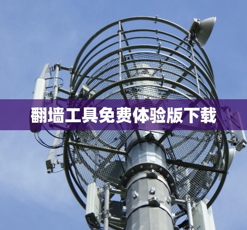 翻墙工具免费体验版下载