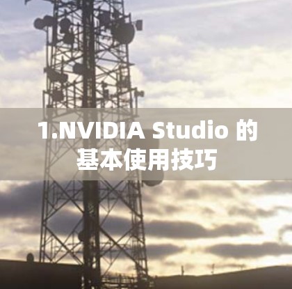 1.NVIDIA Studio 的基本使用技巧 1.NVIDIA Studio 的基本使用技巧