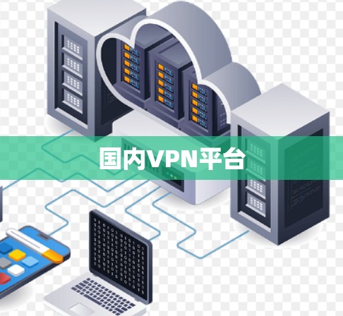 国内VPN平台 国内VPN平台