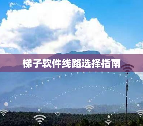 梯子软件线路选择指南 梯子软件线路选择指南