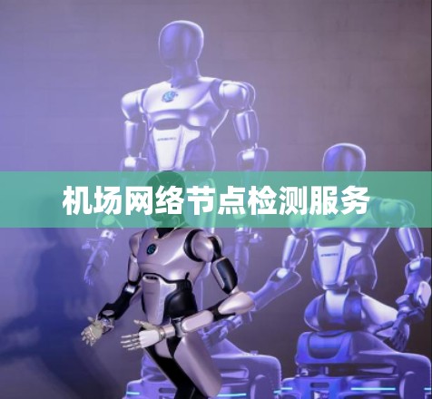 机场网络节点检测服务 机场网络节点检测服务