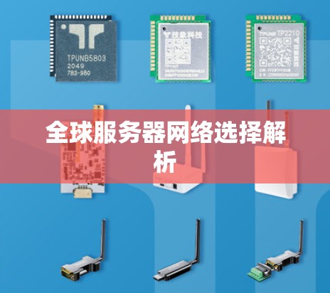 全球服务器网络选择解析 全球服务器网络选择解析