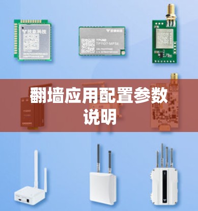 翻墙应用配置参数说明 翻墙应用配置参数说明